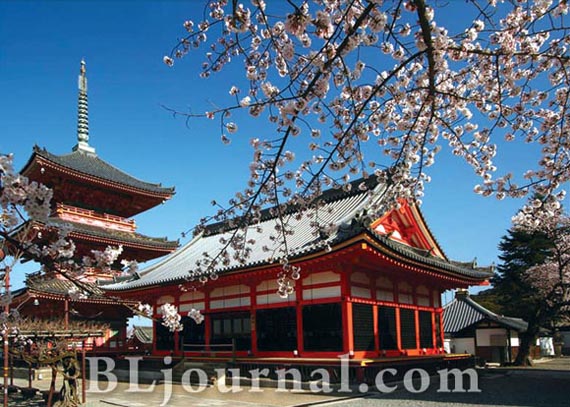 BL_sakura-4