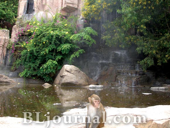 Sanya-8