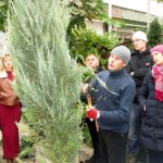 Семинар по ландшафтному дизайну в Николаеве, 19–21.10.2016 г