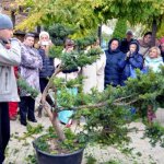 Семинар по ландшафтному дизайну в Николаеве, 19–21.10.2016 г