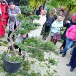 Семинар по ландшафтному дизайну в Николаеве, 19–21.10.2016 г