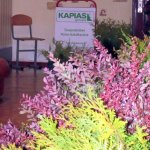 Семинар по ландшафтному дизайну в Николаеве, 19–21.10.2016 г