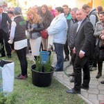 Семинар по ландшафтному дизайну в Николаеве, 19–21.10.2016 г